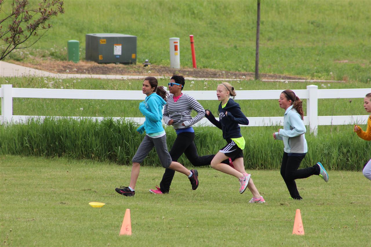 Samantha's Field Day